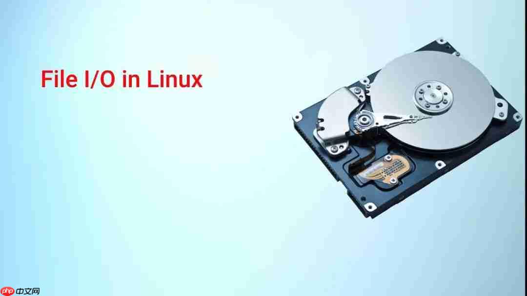 linux: 了解 C 开发 IO 操作