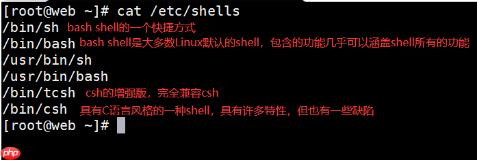 什么是Shell?怎么编写和执行Shell脚本?