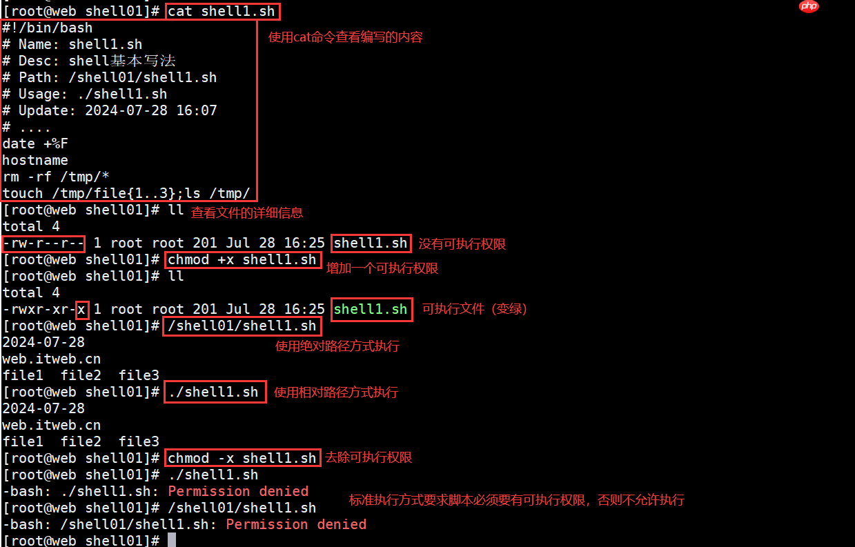 什么是Shell?怎么编写和执行Shell脚本?