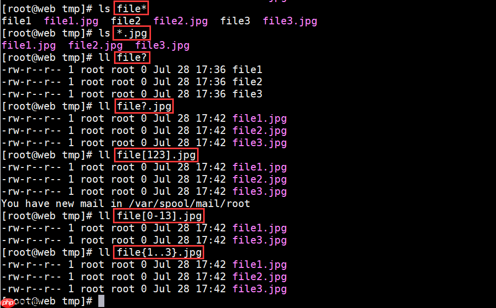 什么是Shell?怎么编写和执行Shell脚本?