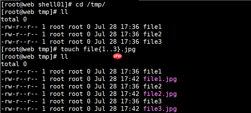 什么是Shell?怎么编写和执行Shell脚本?