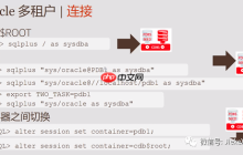 Oracle 19c 使用数据泵如何导入导出 PDB 用户