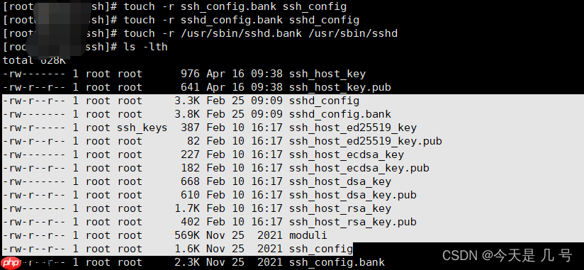 【权限维持】Linux&OpenSSH&PAM后门&SSH软链接&公私钥登录