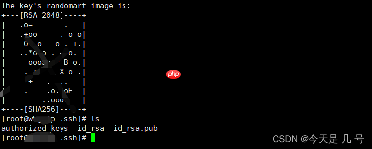 【权限维持】Linux&OpenSSH&PAM后门&SSH软链接&公私钥登录
