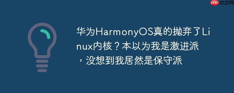 华为harmonyos真的抛弃了linux内核？本以为我是激进派，没想到我居然是保守派