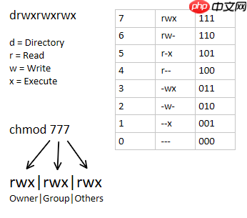 Linux：Go应用实践目录权限
