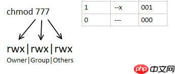 Linux:Go应用实践目录权限