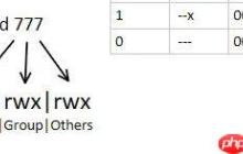 Linux：Go应用实践目录权限