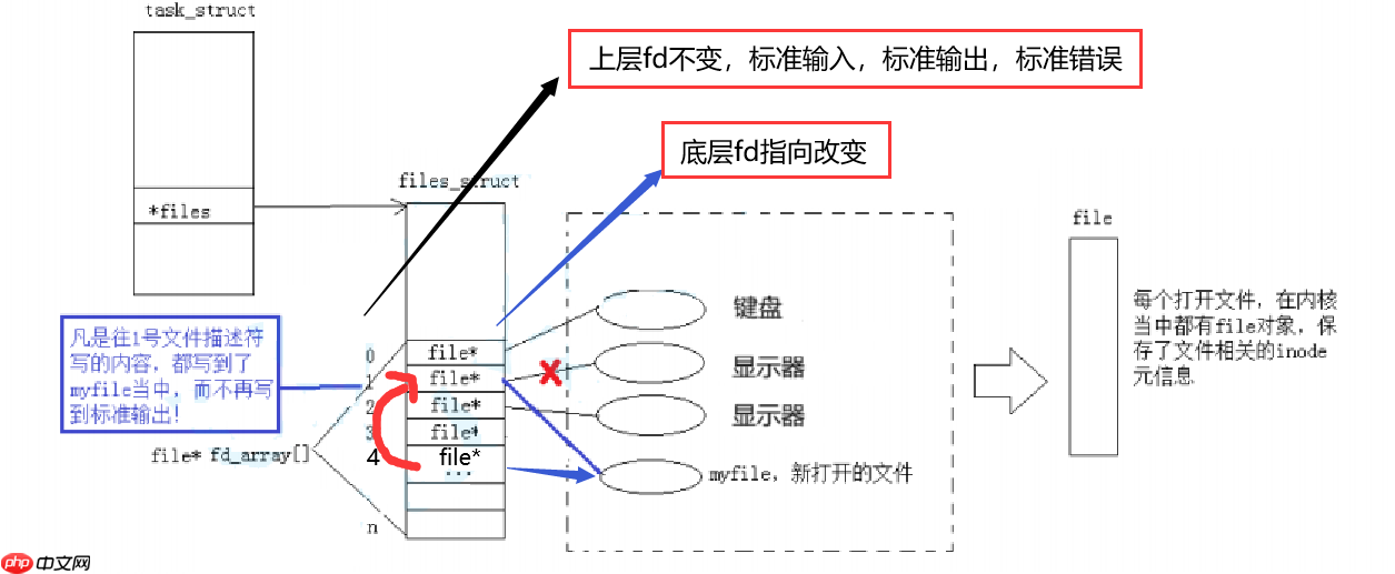 【Linux】重定向操作的原理：修改文件描述符fd底层指向 (文件系统角度理解)