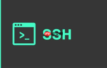 Linux SSH 连接在一段时间内没有活动时可能会自动断开，怎么办？