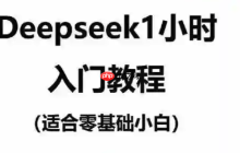 deepseek界面操作说明 deepseek怎么调出专业设置
