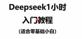 deepseek界面操作说明 deepseek怎么调出专业设置
