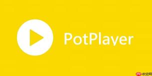 PotPlayer怎么去除水印 PotPlayer实时滤镜处理方案