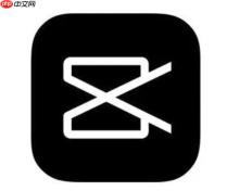 剪映怎么制作动态文字 剪映标题动画设计教程