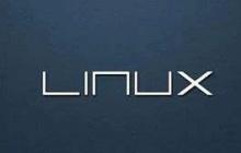 如何在Linux上查找上次登录信息？