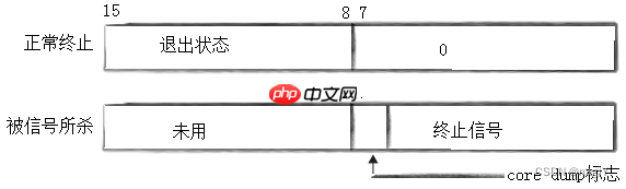 【Linux】进程控制：理解什么是进程创建，进程终止，进程等待 | 进程替换
