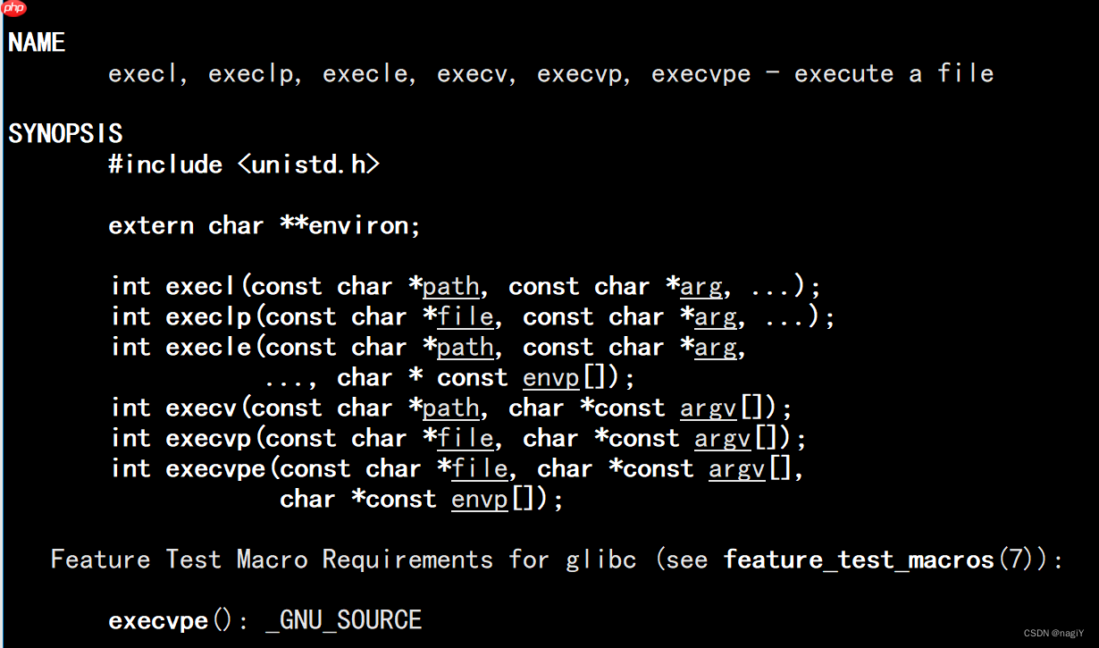 【Linux】进程控制：理解什么是进程创建，进程终止，进程等待 | 进程替换