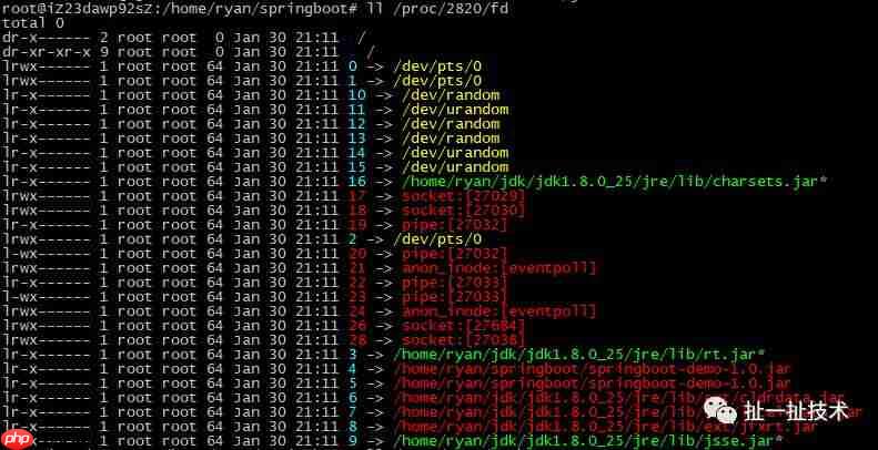 线上问题定位--OOM