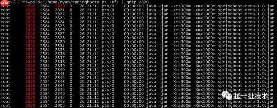 线上问题定位--OOM