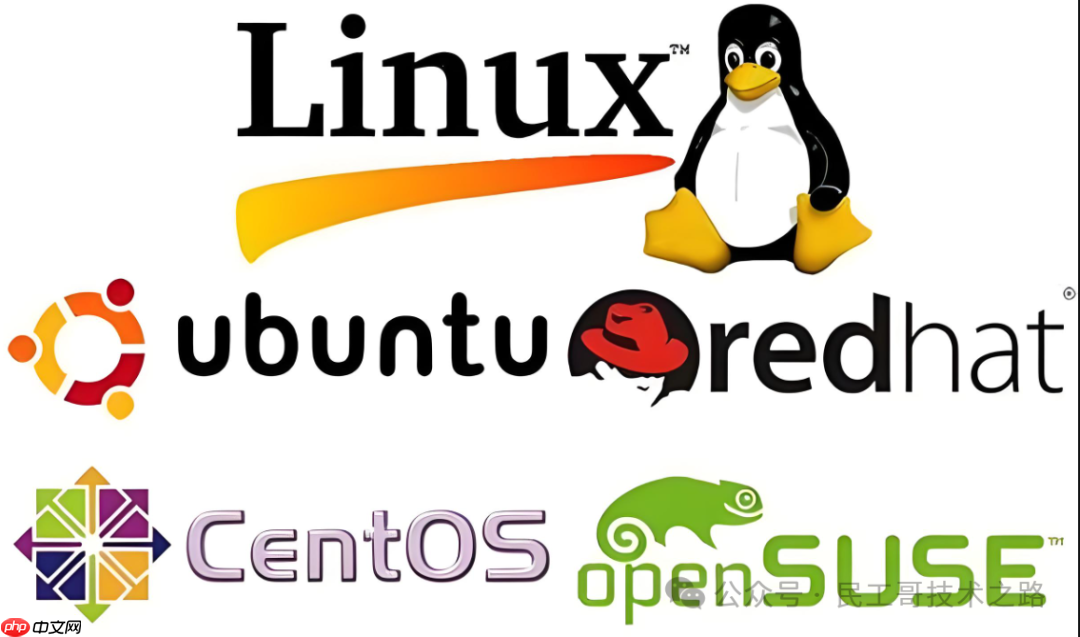 你敢信？至今 Linux 依旧是一个小众的操作系统