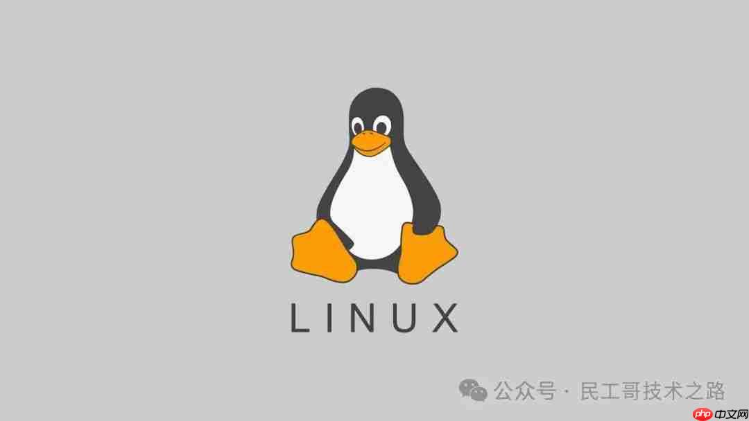 你敢信？至今 Linux 依旧是一个小众的操作系统