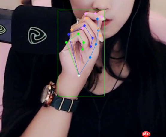 一学就会！快来查收这份 MMPose 学习指南