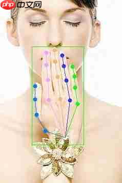 一学就会！快来查收这份 MMPose 学习指南