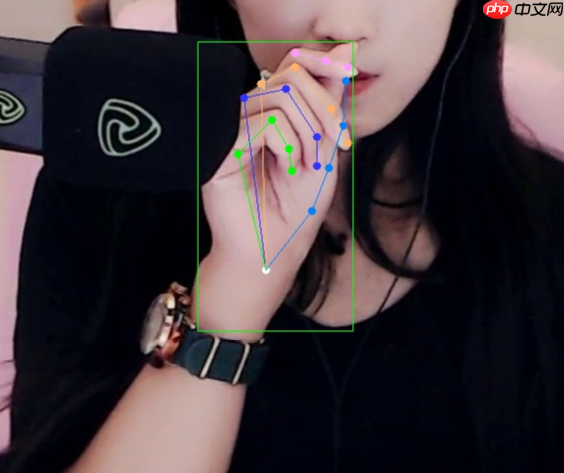 一学就会！快来查收这份 MMPose 学习指南