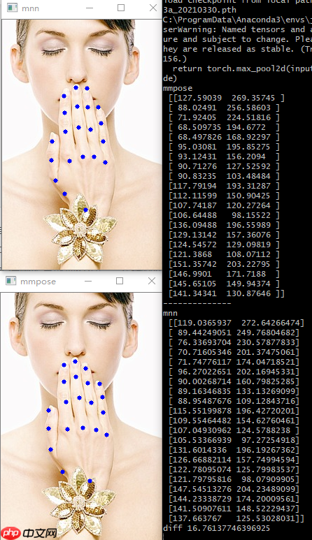 一学就会！快来查收这份 MMPose 学习指南