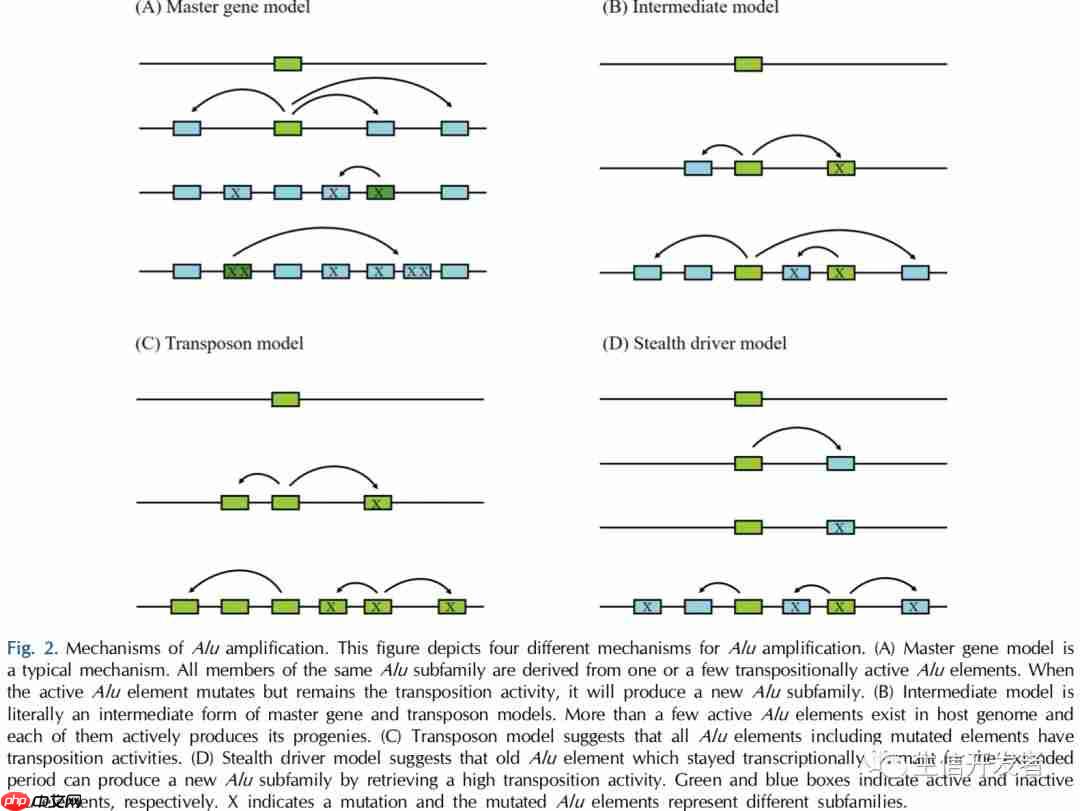 尚未找出原因的genetic disorders可以从这个角度找找原因
