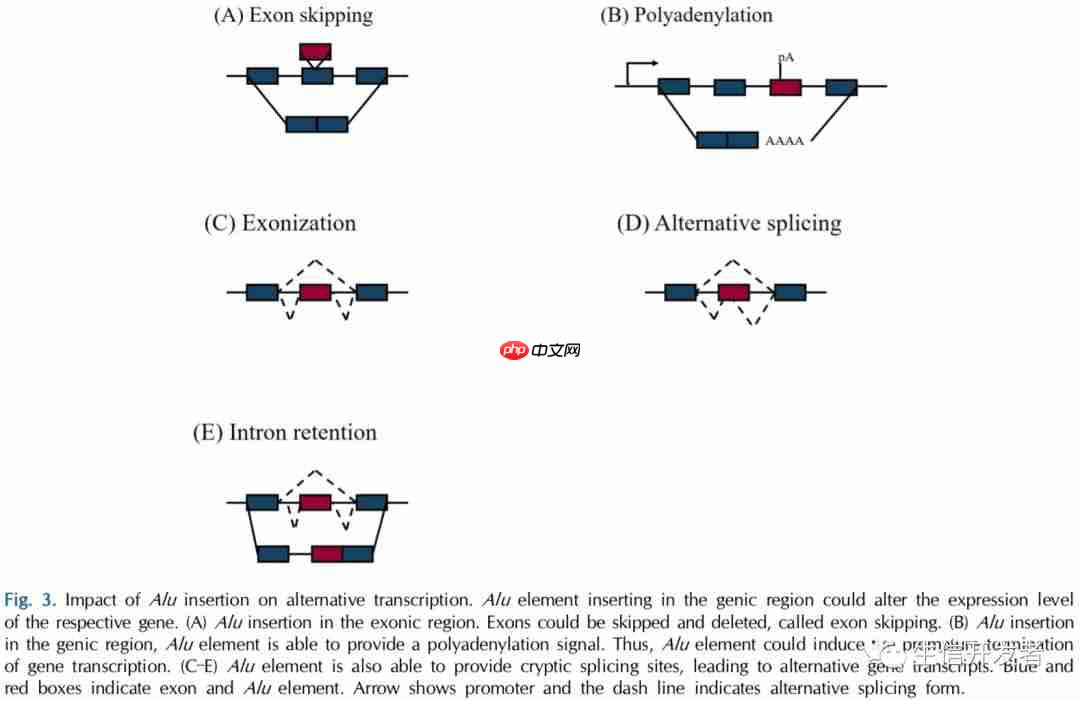 尚未找出原因的genetic disorders可以从这个角度找找原因