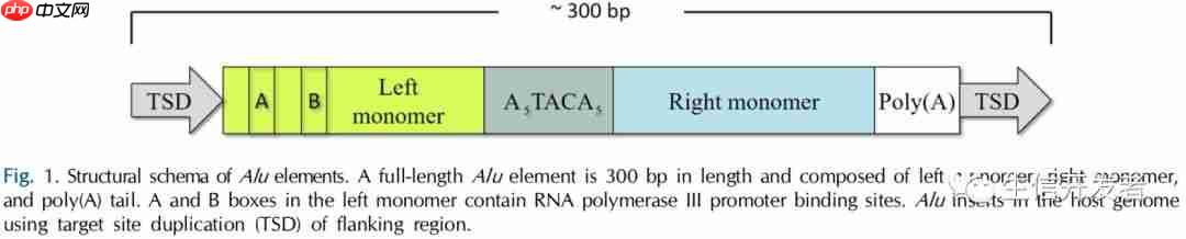 尚未找出原因的genetic disorders可以从这个角度找找原因