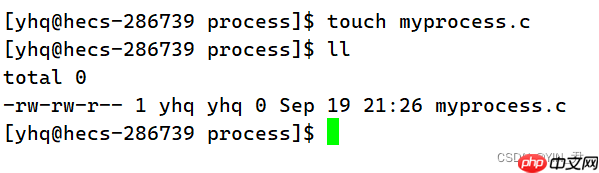 【Linux系统编程】进程概念与基本创建