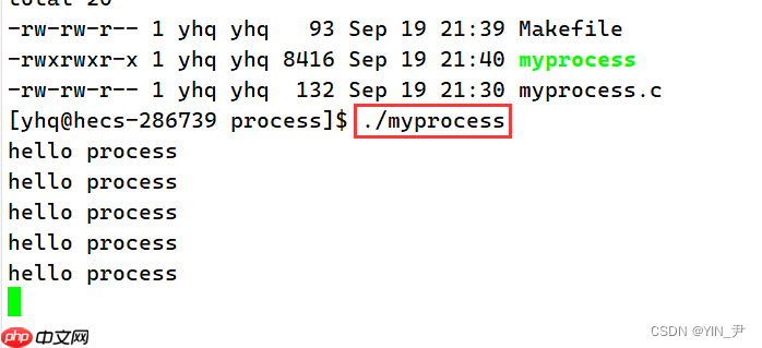 【Linux系统编程】进程概念与基本创建