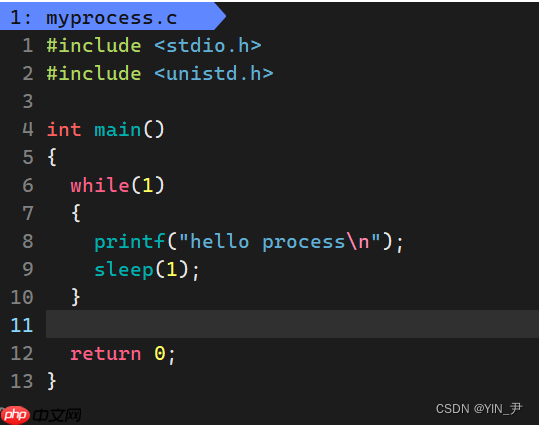 【Linux系统编程】进程概念与基本创建