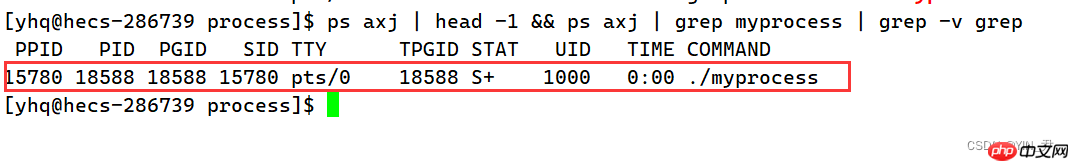 【Linux系统编程】进程概念与基本创建