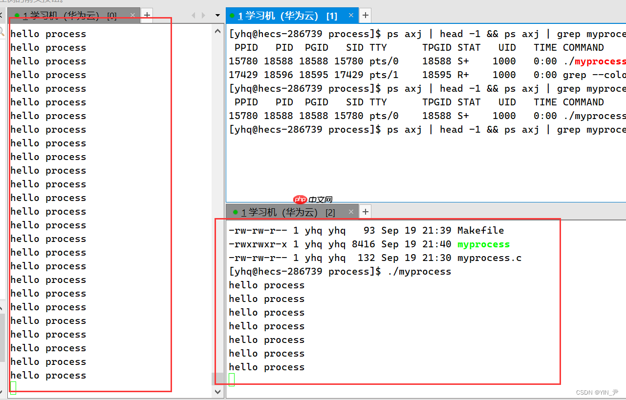 【Linux系统编程】进程概念与基本创建