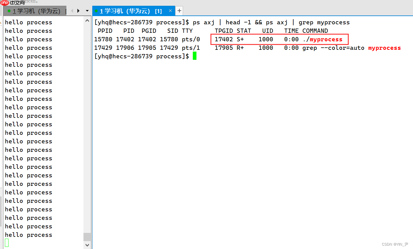 【Linux系统编程】进程概念与基本创建