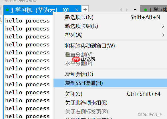 【Linux系统编程】进程概念与基本创建