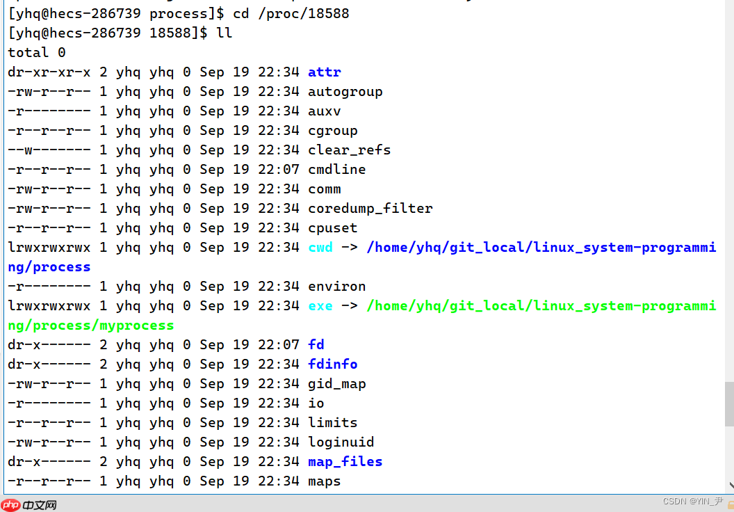 【Linux系统编程】进程概念与基本创建