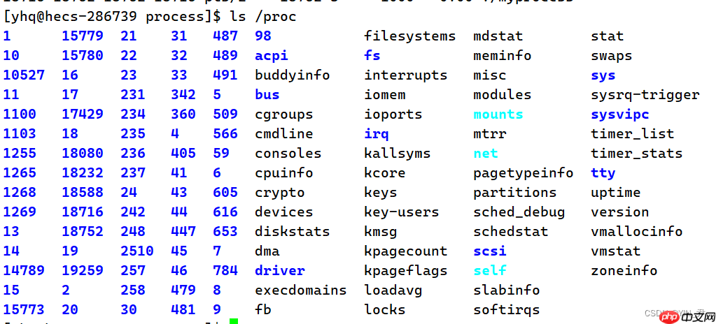 【Linux系统编程】进程概念与基本创建