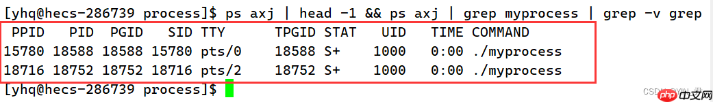【Linux系统编程】进程概念与基本创建