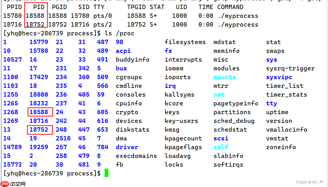 【Linux系统编程】进程概念与基本创建