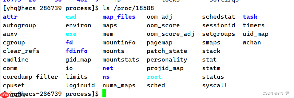 【Linux系统编程】进程概念与基本创建