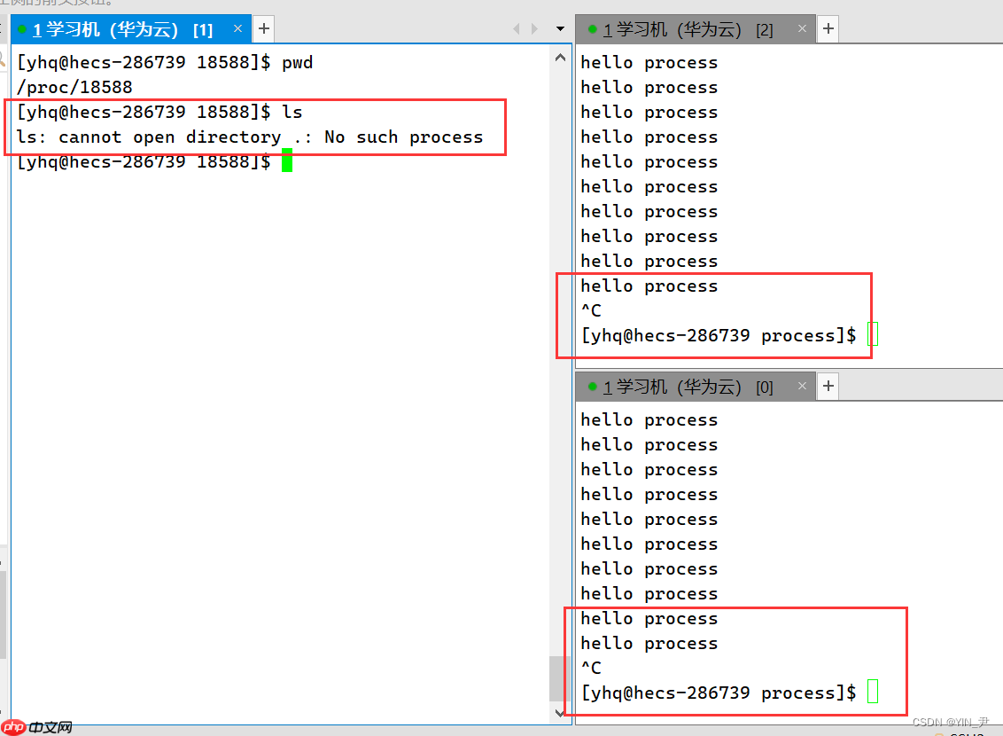 【Linux系统编程】进程概念与基本创建