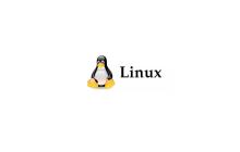 Linux系统之使用cmatrix实现数字雨效果