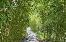 【CSP-S】冲刺2023年信息学CSP-J/S：Linux常用命令之【time命令】