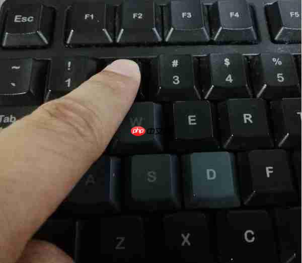 全志D1s软件入门之Tina Linux烧写教程