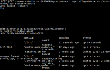 Linux系统使用Docker安装RStudio服务并实现任意浏览器远程访问