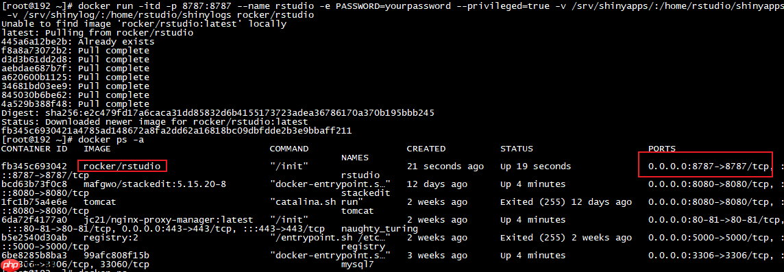 Linux系统使用Docker安装RStudio服务并实现任意浏览器远程访问